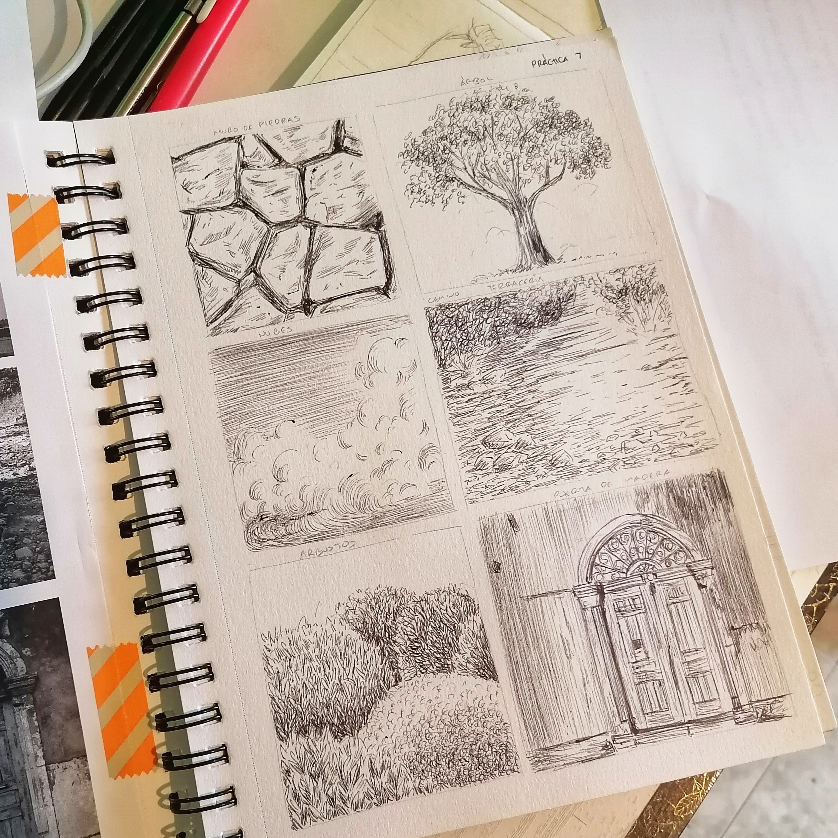 1135 PROCESOS DE REPRESENTACIÓN BIDIMENSIONAL I