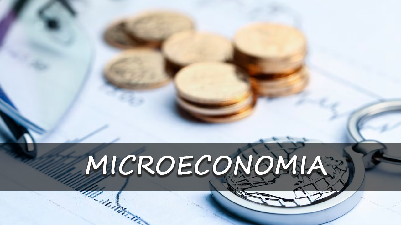 MICROECONOMIA 1520