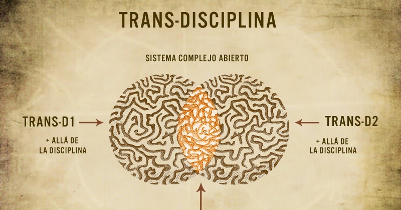 Transdisciplina II